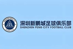 苗原透露：中超泰山，深圳，两队都在找中卫，但面临不同困境